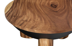 Phillips Collection Moon Round Chamcha Wood Coffee Table with Metal Base for Modern Living Rooms TH115359