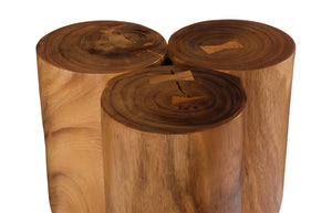 Phillips Collection Triflora Side Table: Sculptural Chamcha Wood Accent for Modern, Rustic, or Transitional Interiors Natural, Small TH119024