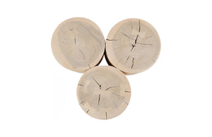Phillips Collection Triflora Side Table: Sculptural Chamcha Wood Accent for Modern, Rustic, or Transitional Interiors Bleached, Small TH119026