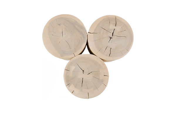 Phillips Collection Triflora Side Table: Sculptural Chamcha Wood Accent for Modern, Rustic, or Transitional Interiors Bleached, Small TH119026