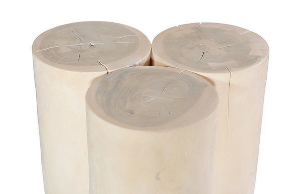 Phillips Collection Triflora Side Table: Sculptural Chamcha Wood Accent for Modern, Rustic, or Transitional Interiors Bleached, Small TH119026