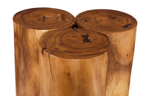 Phillips Collection Triflora Side Table: Sculptural Chamcha Wood Accent for Modern, Rustic, or Transitional Interiors Natural, Large TH119027