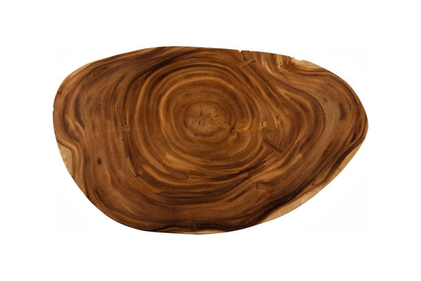 Phillips Collection Lathe Turned Solid Chamcha Wood Coffee Table Sculptural Organic Form for Modern Living Rooms Natural Large TH119030