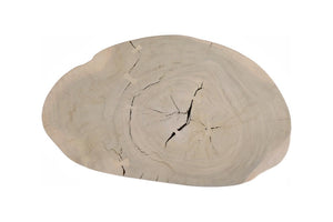 Phillips Collection Lathe Turned Solid Chamcha Wood Coffee Table Sculptural Organic Form for Modern Living Rooms Bleached Large TH119032