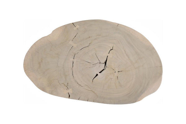 Phillips Collection Lathe Turned Solid Chamcha Wood Coffee Table Sculptural Organic Form for Modern Living Rooms Bleached Large TH119032