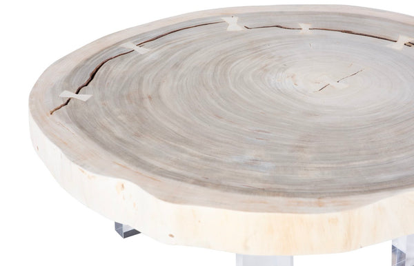 Phillips Collection Floating Coffee Table with Clear Acrylic Legs - Modern Chamcha Wood Design for Contemporary Living Spaces Bleached, Size Varies TH119389
