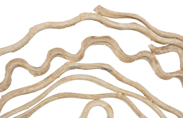 Phillips Collection Vine Wall Flower Decor - Large Bleached Wood Sculpture, Modern-Organic Design for Any Space TH120059
