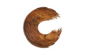 Phillips Collection Swoop Wall Art Sculpture in Natural Wood - Asymmetrical Design for Modern Home Décor and Style Large TH120063