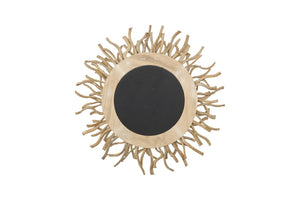 Phillips Collection Radial Vine Wall Mirror with Kiln Dried Frame Organic Boho Sun Burst Accent TH120069