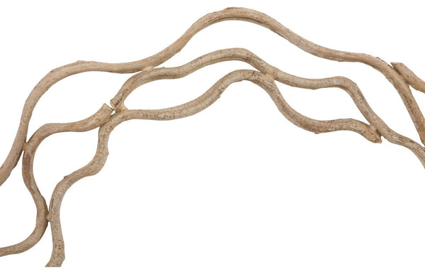 Phillips Collection Vine Ring Wall Art Set Twisted Wood Sculptural Organic Boho Decor for Entryway TH120070
