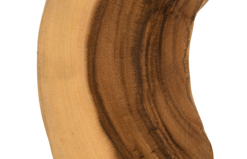 Phillips Collection Creature Sculpture On Stand - Unique Organic Design With Stunning Wood Grain For Home Décor Accent Brown Wood ,Chamcha Wood Th54014