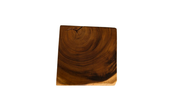 Phillips Collection Rectangular Stool - Handcrafted Reclaimed Chamcha Wood Accent for Modern Organic Interiors TH61308