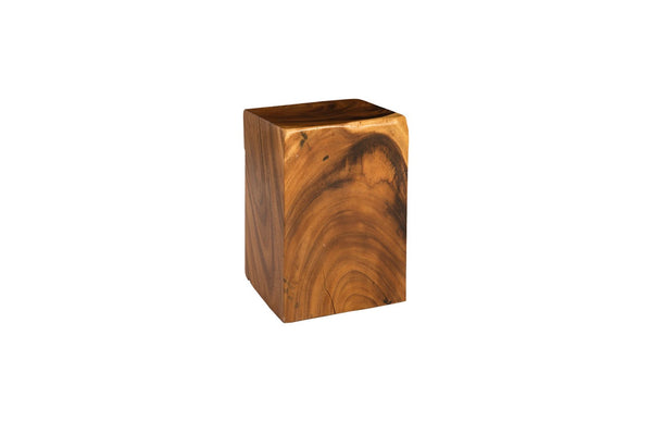 Phillips Collection Rectangular Stool - Handcrafted Reclaimed Chamcha Wood Accent for Modern Organic Interiors TH61308