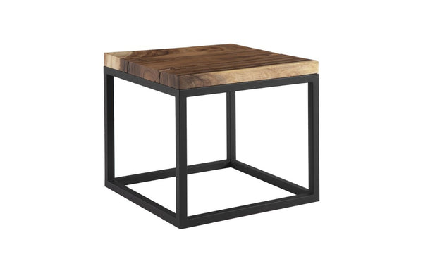 Phillips Collection Martin Solid Chamcha Wood Side Table with Black Metal Base for Modern Living TH62862