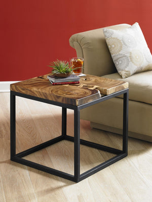 Phillips Collection Martin Solid Chamcha Wood Side Table with Black Metal Base for Modern Living TH62862