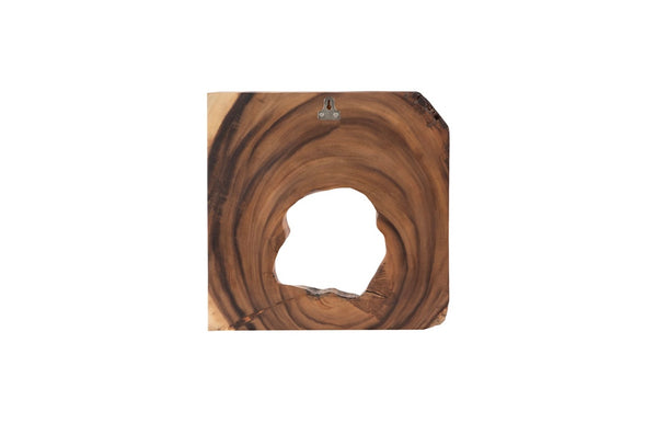 Phillips Collection Freeform Wall Tile - Unique Chamcha Wood Art Piece, Perfect For Modern Organic Décor Solutions Brown Wood ,Chamcha Wood Th68903