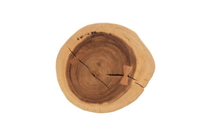 Phillips Collection Stump Stool - Rustic Natural Wood Accent for Versatile Seating, Side Table, or Decorative Display TH69603