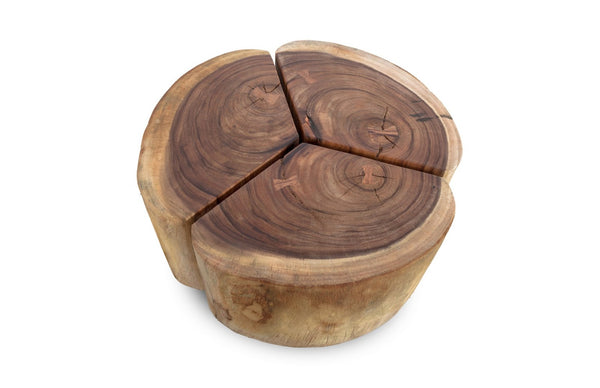 Phillips Collection Clover Coffee Table - Modern Organic Design with Striking Visual Texture for Stylish Living Spaces Chamcha Wood, Natural Finish, Metal Base TH74070