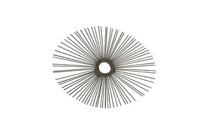 Phillips Collection Spoke Sunburst Wall Mirror Charred Solid Wood Radiating Sculptural Modern Organic Decor Round TH75403