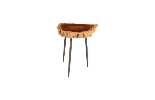 Phillips Collection Burled Side Table with Forged Metal Legs - Rustic Elegance Meets Modern Design for Any Space TH81211
