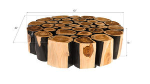 Phillips Collection Boscage Round Coffee Table with Black Metal Legs - Unique Chamcha Wood Design for Modern Living Spaces TH81392