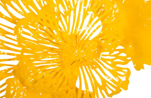 Phillips Collection Flower Wall Art Sculpture - Intricate Filigree Design for Modern Organic Home Decor, 18 Inches Small, Dandelion, Metal TH83077