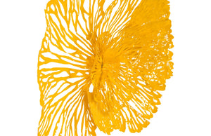 Phillips Collection Flower Wall Art Sculpture - Intricate Filigree Design for Modern Organic Home Decor, 18 Inches Medium, Dandelion, Metal TH83078
