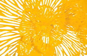 Phillips Collection Flower Wall Art Sculpture - Intricate Filigree Design for Modern Organic Home Decor, 18 Inches Medium, Dandelion, Metal TH83078