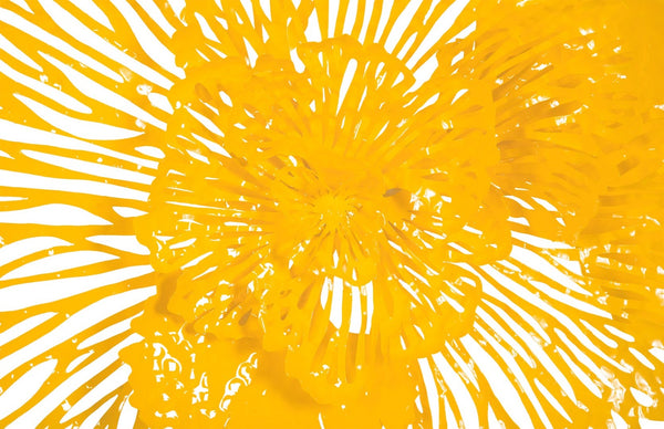 Phillips Collection Flower Wall Art Sculpture - Intricate Filigree Design for Modern Organic Home Decor, 18 Inches Medium, Dandelion, Metal TH83078