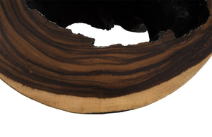 Phillips Collection Chamcha Wood Side Table with Burnt Edge Finish - Organic Modern Accent Piece for Any Room TH84093
