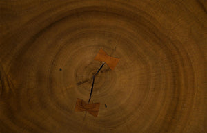 Phillips Collection Smoothed Solid Chamcha Wood Round Bar Table Hand Sculpted Natural Grain Counter Height TH84475