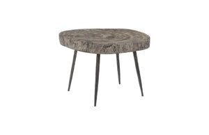Phillips Collection Crosscut Round Chamcha Wood Side Table with Sand Cast Metal Legs for Living Rooms TH85144