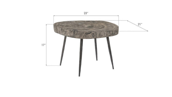 Phillips Collection Crosscut Round Chamcha Wood Side Table with Sand Cast Metal Legs for Living Rooms TH85144