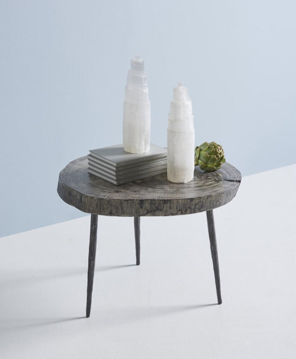 Phillips Collection Crosscut Round Chamcha Wood Side Table with Sand Cast Metal Legs for Living Rooms TH85144
