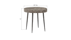 Phillips Collection Crosscut Chamcha Wood Round Side Table with Sand Cast Metal Legs for Modern Living TH85174