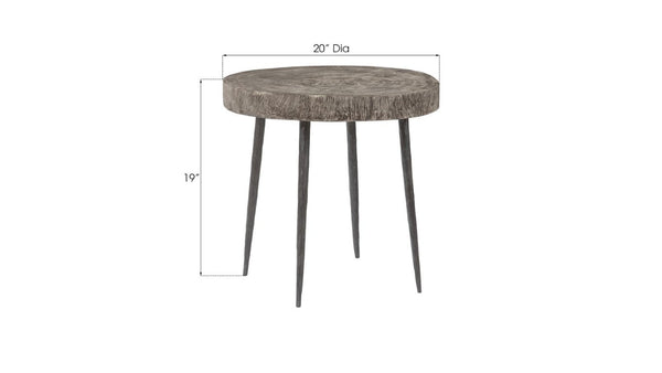Phillips Collection Crosscut Chamcha Wood Round Side Table with Sand Cast Metal Legs for Modern Living TH85174