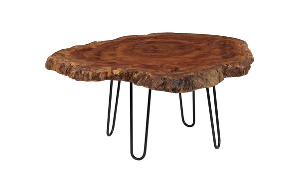 Phillips Collection Burled Wood Coffee Table with Black Metal Legs - Unique Live-Edge Design for Modern Living Spaces Large TH93212