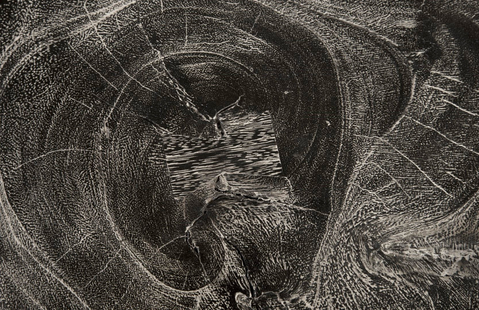 Phillips Collection Stump Stool