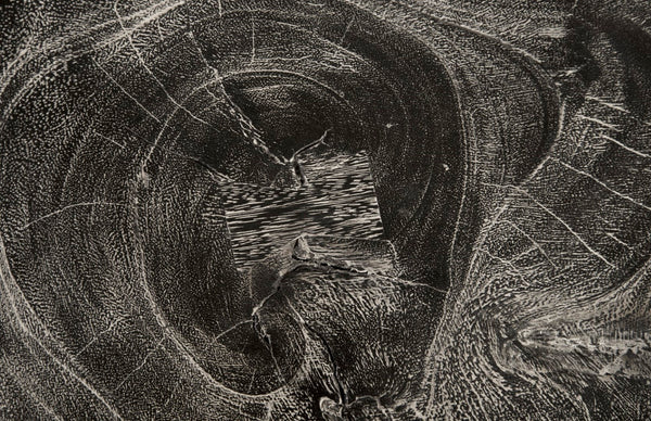 Phillips Collection Stump Stool - Natural Gray Stone Finish From Responsibly Harvested Chamcha Tree For Modern Spaces Gray Wood Th94575