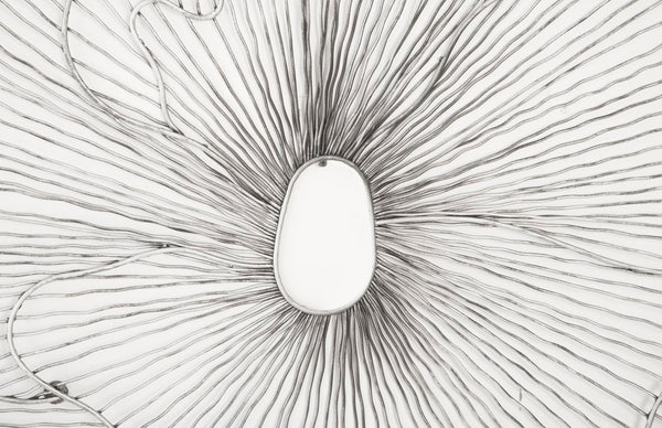 Phillips Collection Poppy Flower Wall Art - Modern Organic Sculpture for Elegant Home Decor and Stunning Visual Appeal Silver/Black, LG TH95111