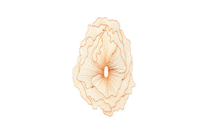 Phillips Collection Poppy Flower Wall Art - Modern Organic Sculpture for Elegant Home Decor and Stunning Visual Appeal Copper, LG TH95114