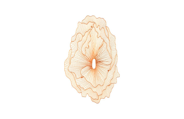 Phillips Collection Poppy Flower Wall Art - Modern Organic Sculpture for Elegant Home Decor and Stunning Visual Appeal Copper, LG TH95114