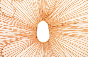 Phillips Collection Poppy Flower Wall Art - Modern Organic Sculpture for Elegant Home Decor and Stunning Visual Appeal Copper, LG TH95114