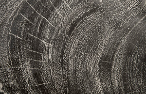 Phillips Collection River Stone Wall Tile - Nature-inspired Decorative Piece For Stunning Modern Interiors And Spaces Gray Wood Th96031