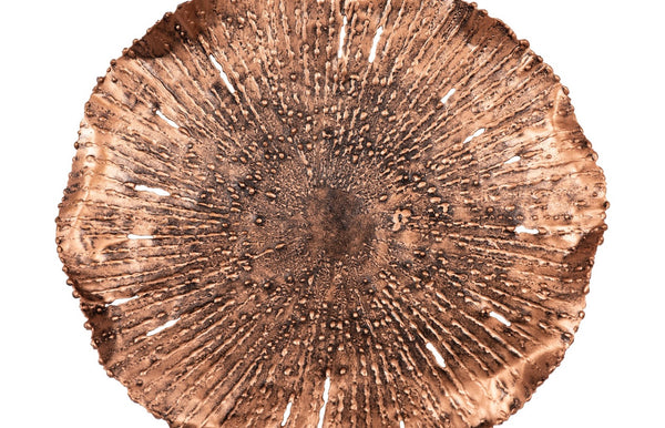 Phillips Collection Lotus Large Metal Wall Art - Hand-crafted Copper Beauty With Textured Black Highlights For Home Decor Brown,Black Metal Th96156