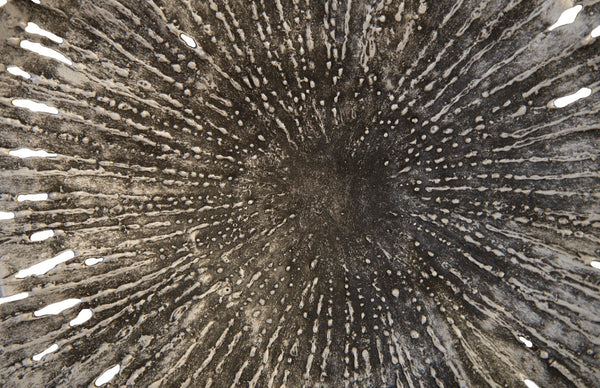 Phillips Collection Lotus Large Metal Wall Art - Hand-crafted Copper Beauty With Textured Black Highlights For Home Decor Silver,Black Metal Th96159