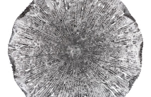 Phillips Collection Lotus Large Metal Wall Art - Hand-crafted Copper Beauty With Textured Black Highlights For Home Decor Silver,Black Metal Th96160