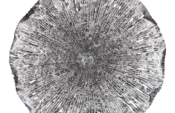 Phillips Collection Lotus Large Metal Wall Art - Hand-crafted Copper Beauty With Textured Black Highlights For Home Decor Silver,Black Metal Th96160