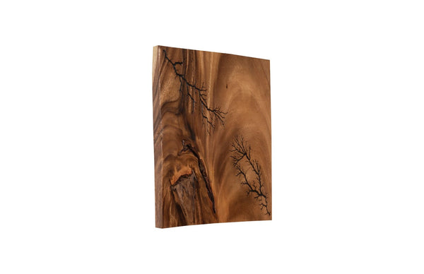 Phillips Collection Lightning Wall Tile - Unique Chamcha Wood Art With Natural Veining For Contemporary Spaces Brown Wood ,Chamcha Wood Th97693