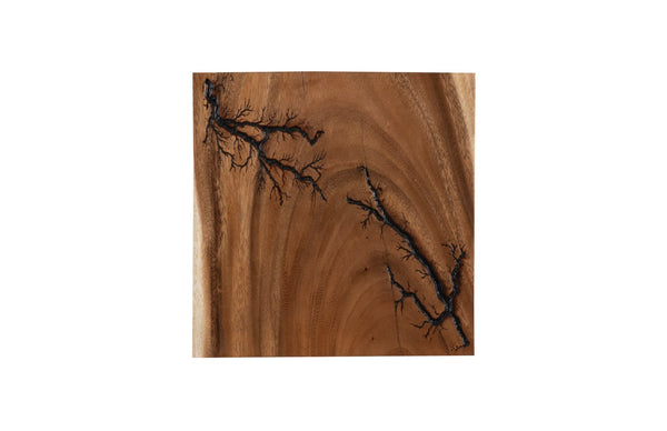 Phillips Collection Lightning Wall Tile - Unique Chamcha Wood Art With Natural Veining For Contemporary Spaces Brown Wood ,Chamcha Wood Th97693